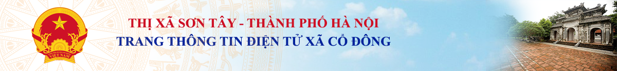 Trang Thông Tin Điện Tử Xã Cổ Đông